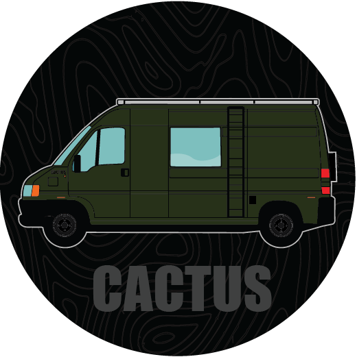 Cactus